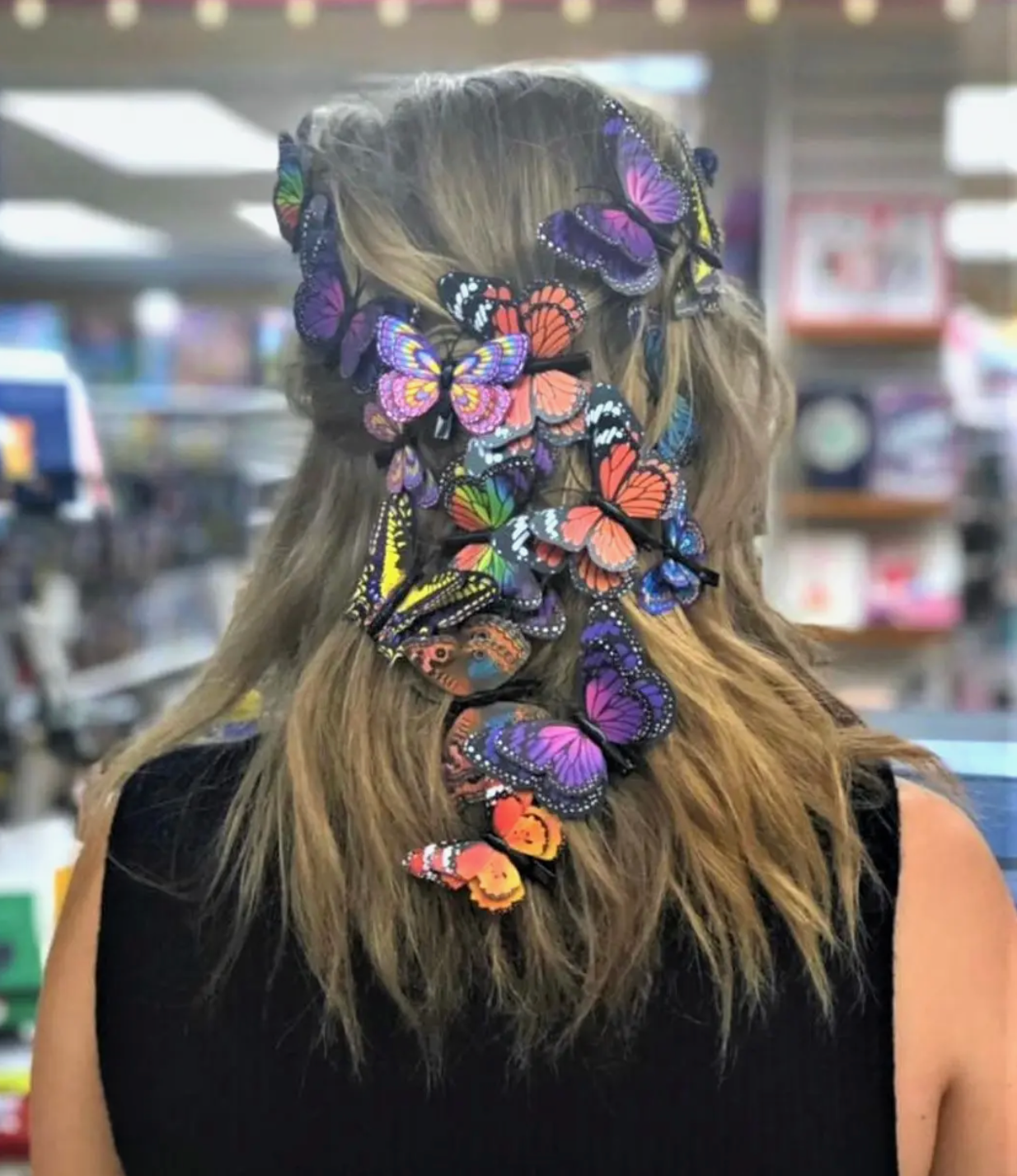 Flutter Gallery Butterfly Magnets