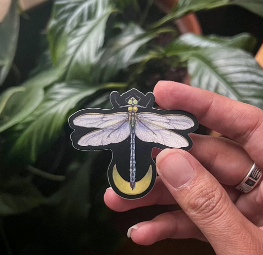 Native Fauna Art- Emperor Dragonfly Sticker