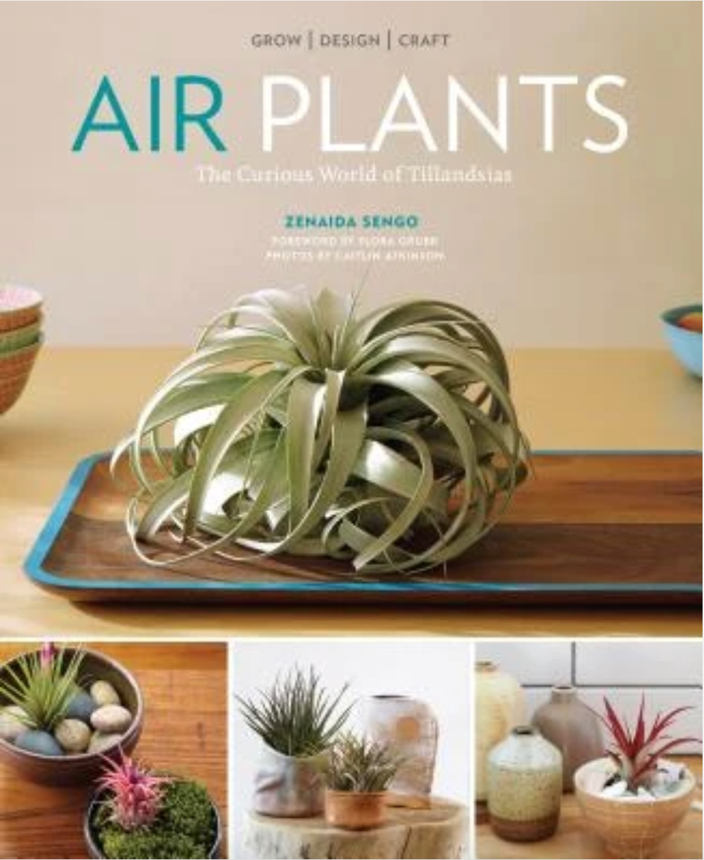 Oddly Enough Books- Air Plants: The Curious World of Tillandsias Plant Book