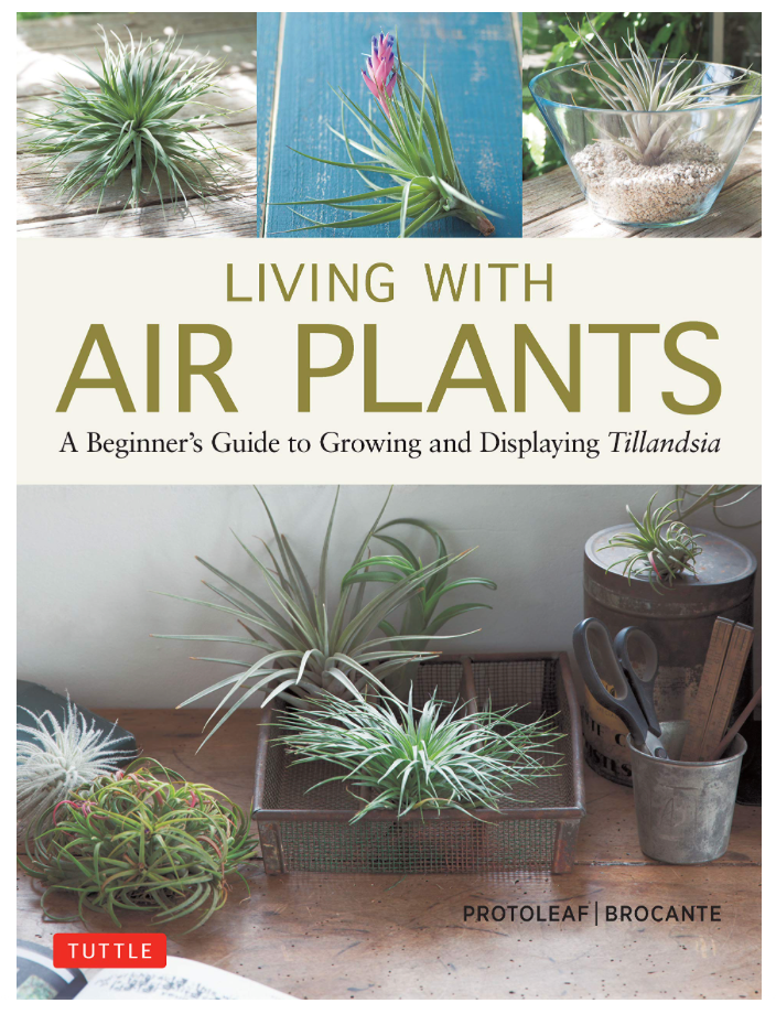 air plant book Living with Air Plants : A Beginner's Guide to Growing and Displaying Tillandsia