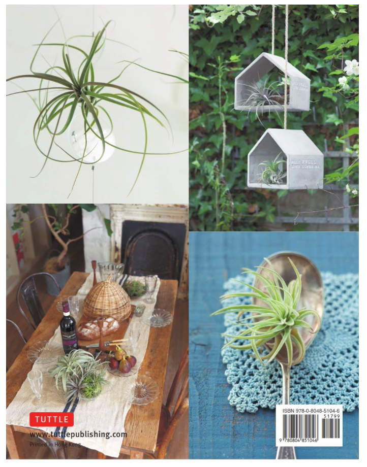 Oddly Enough Books- Living with Air Plants Plant Book