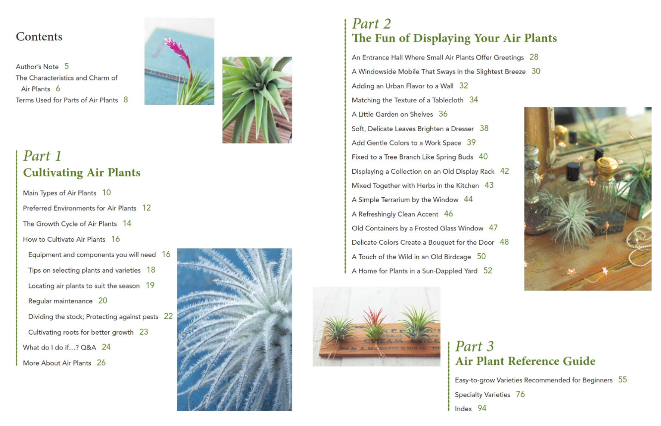 Oddly Enough Books- Living with Air Plants Plant Book
