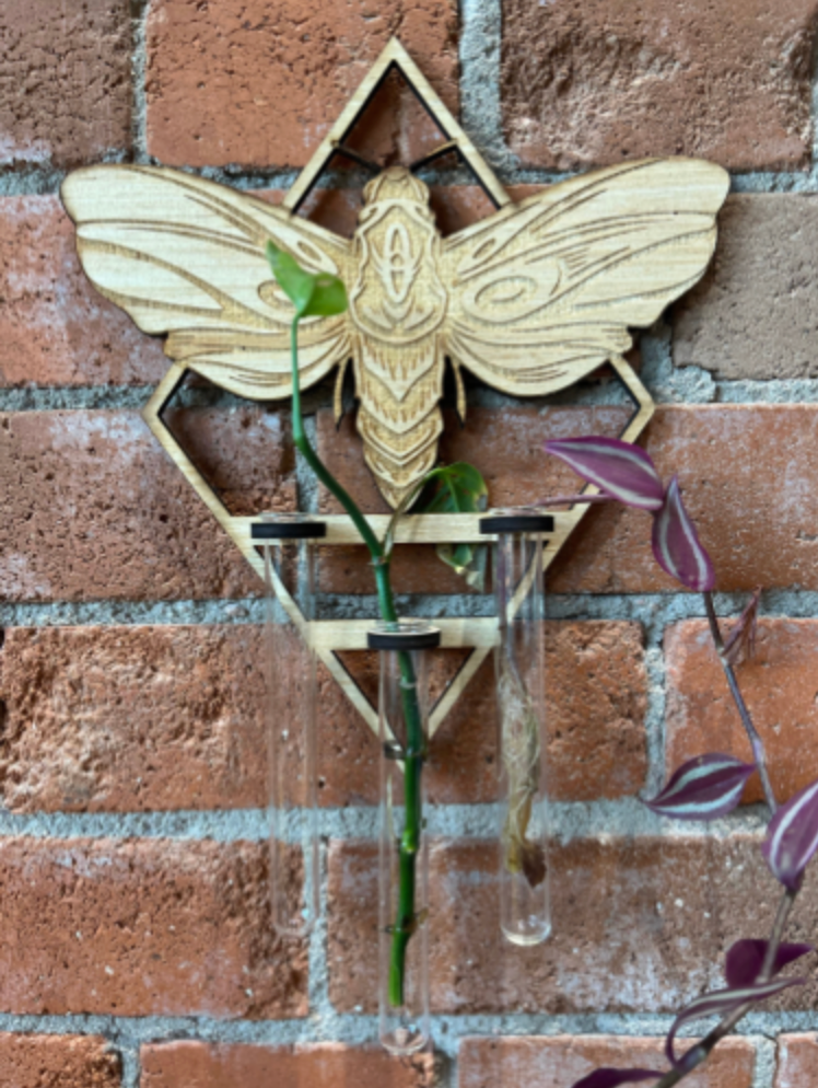 EverwoodCOS- Moth Propagation Station
