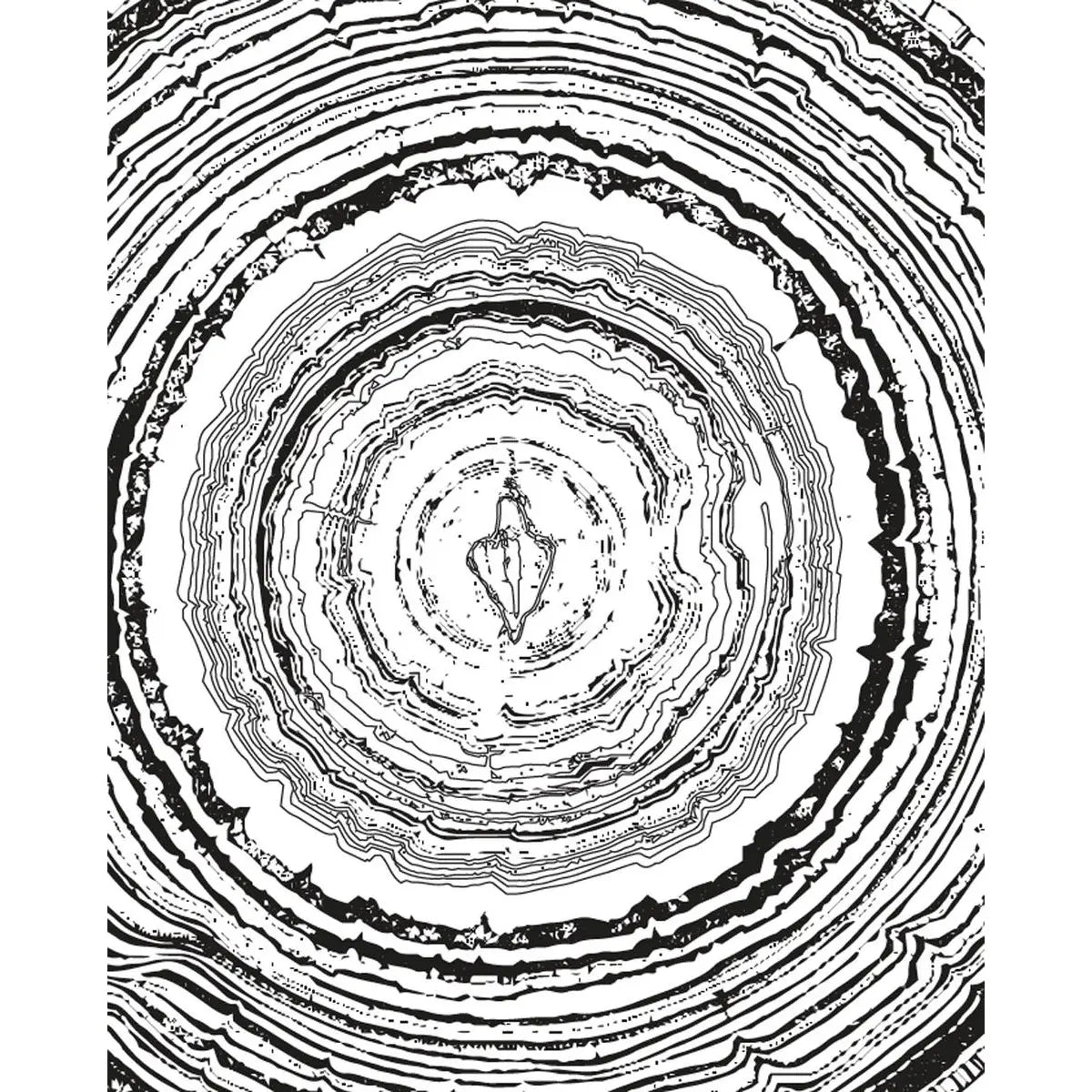 Microcosm Publishing- Post-Structuralist Vulva Coloring Book