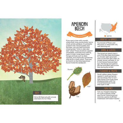 Gibbs Smith- Kid’S Guide To Backyard Trees