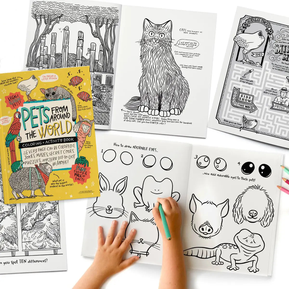 Your Very Favorite: Pets Coloring + Activity: Jokes, Comics, Mazes + More