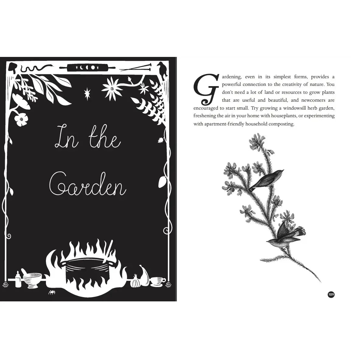 Microcosm Publishing- Kitchen Witch: Natural Remedies & Crafts