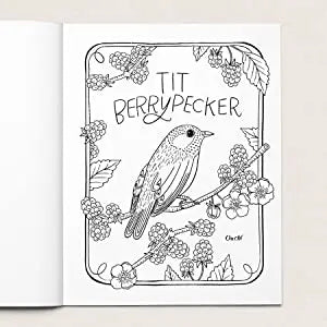 Your Very Favorite: 30 Dirty Birdies: An Adult Coloring Book