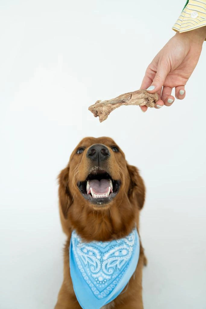 Winnie Lou- Bison Tendon Chews