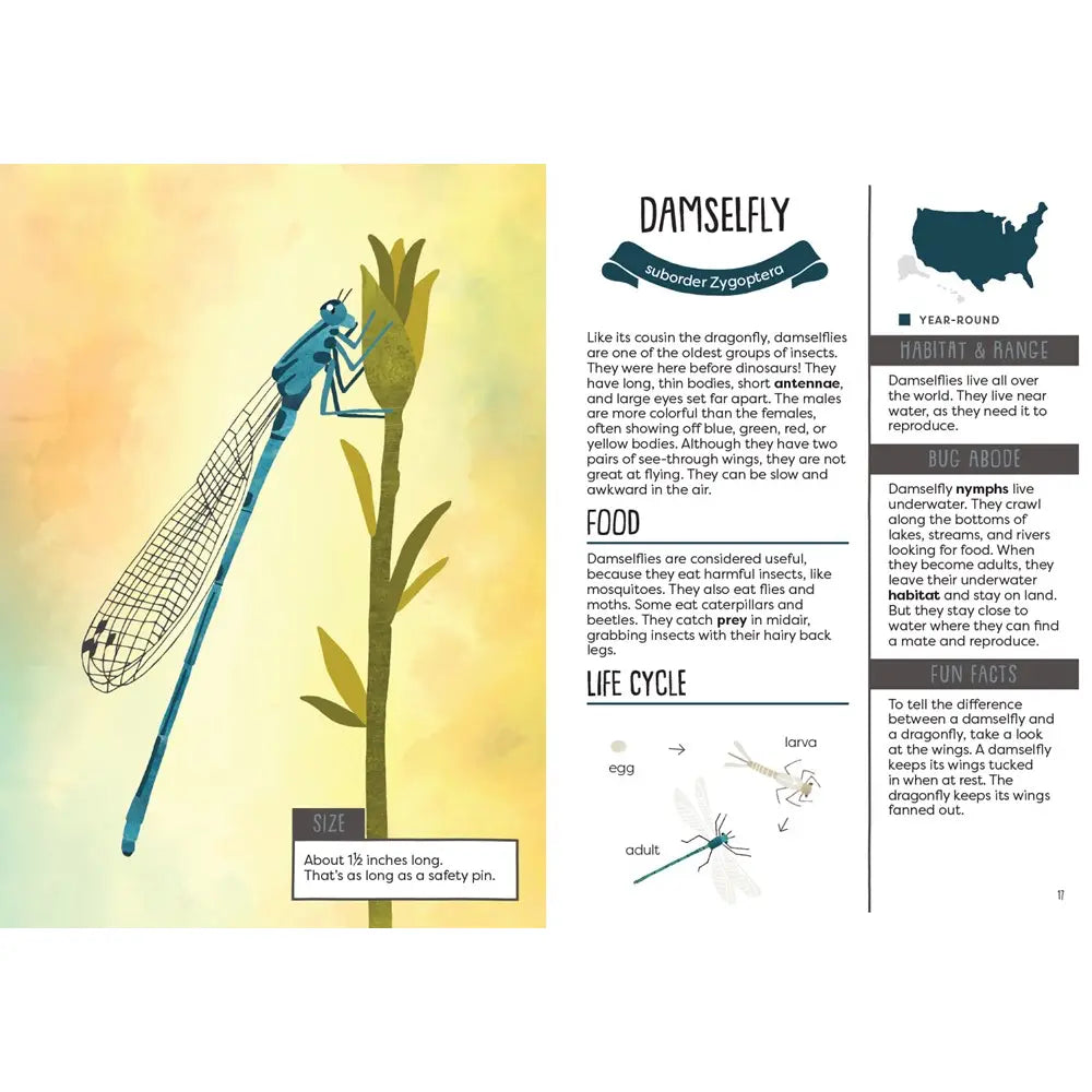 Gibbs Smith- Kid’s Guide To Backyard Bugs