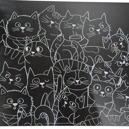 Imagination Starters- Reusable Coloring Placemats: Cats