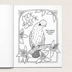 Your Very Favorite: 30 Dirty Birdies: An Adult Coloring Book