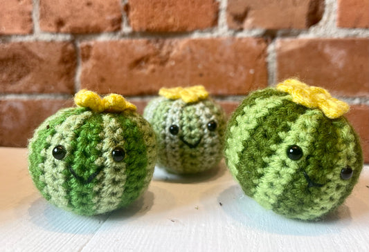 Knots & Crafts by Mikayla Crochet Cactus Button Buddies