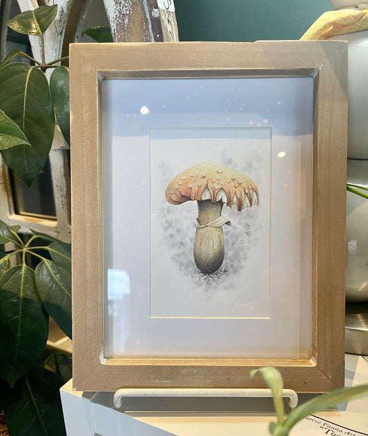 Native Fauna Art- Framed Original Toadstool Mushroom