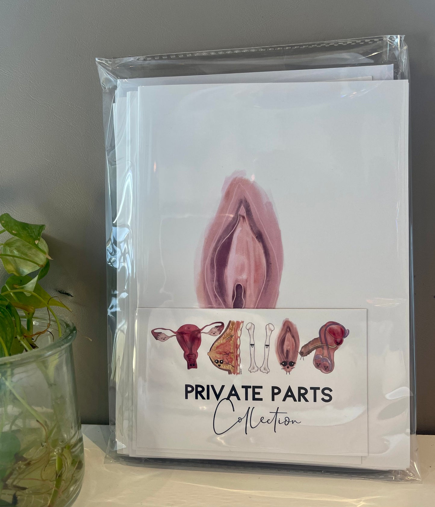 Christine Borst- Private Parts Collection Greeting Card Set