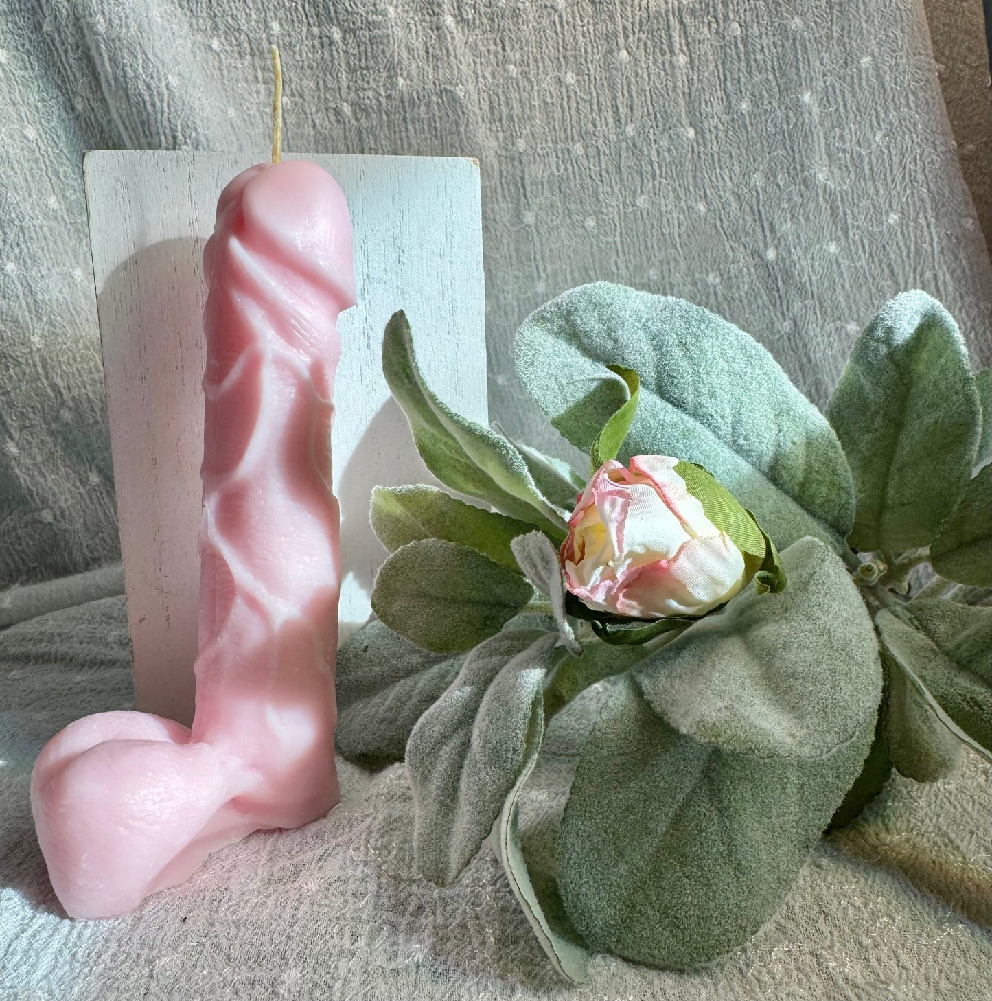 Sense by Cin- Body Shapes Candles- Dick