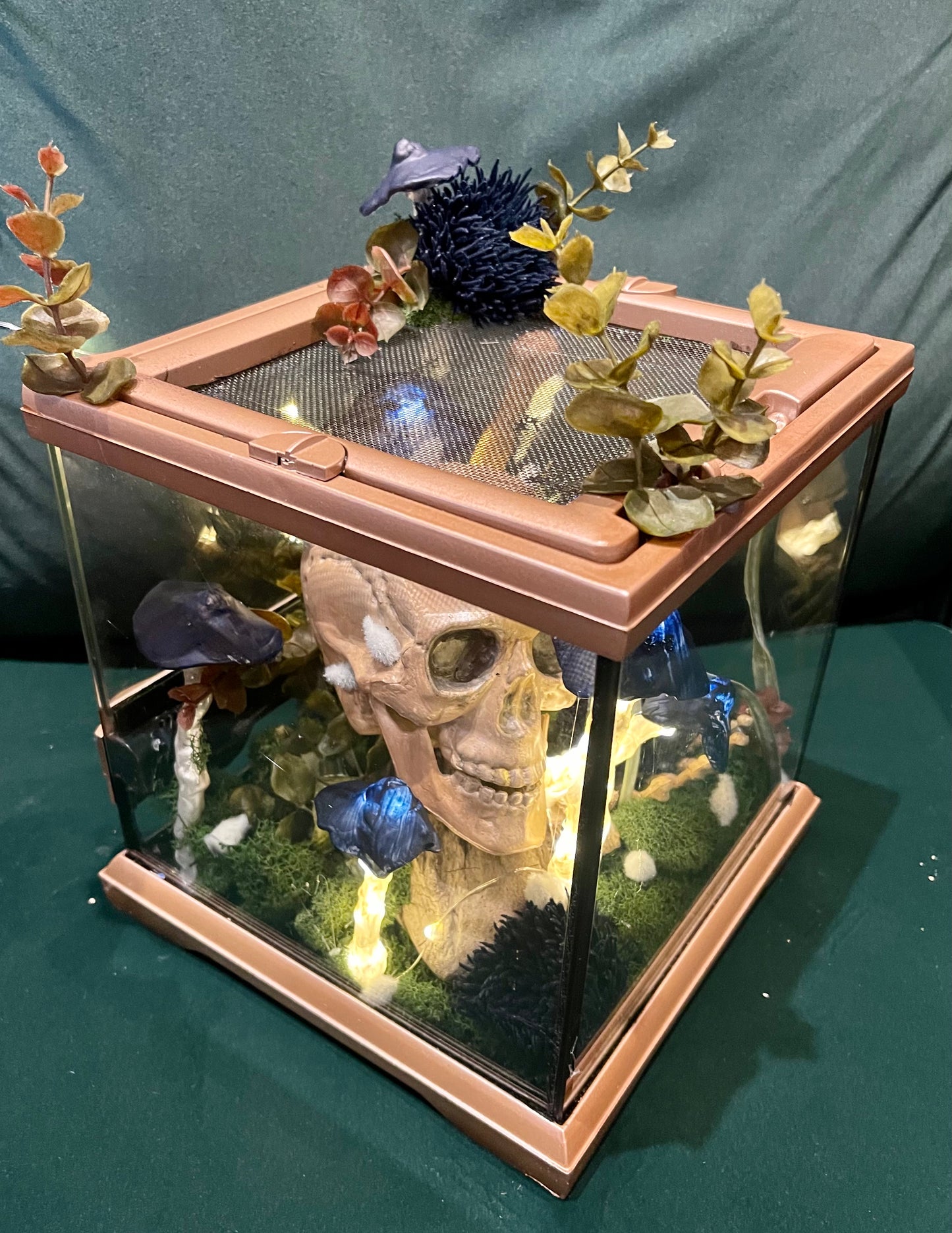 Keely Krueger- Handcrafted Lighted Mushroom Skeleton Terrarium