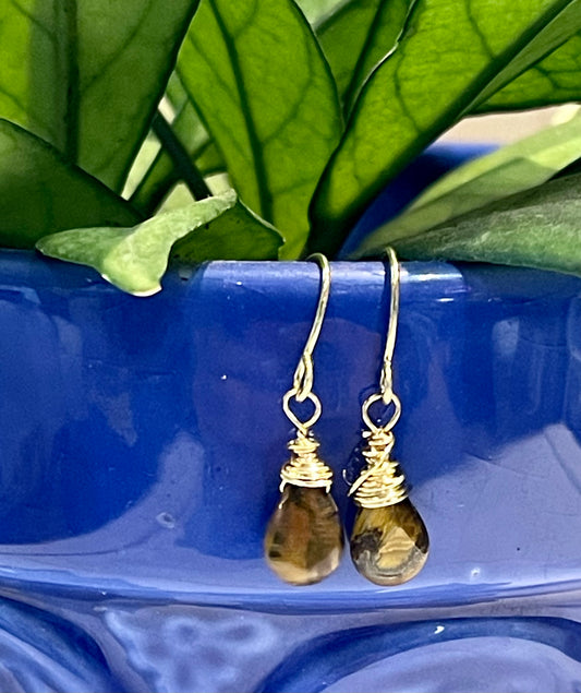 Blossom Designs Wrapped Tigers Eye Earrings