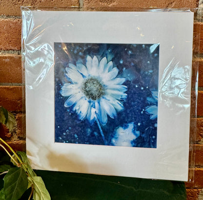 The Sun's Recipe- Matted 8x8 Art Prints