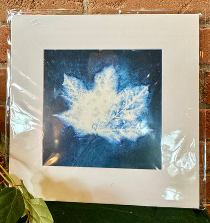 The Sun's Recipe- Matted 8x8 Art Prints