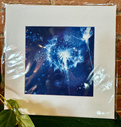 The Sun's Recipe- Matted 8x8 Art Prints