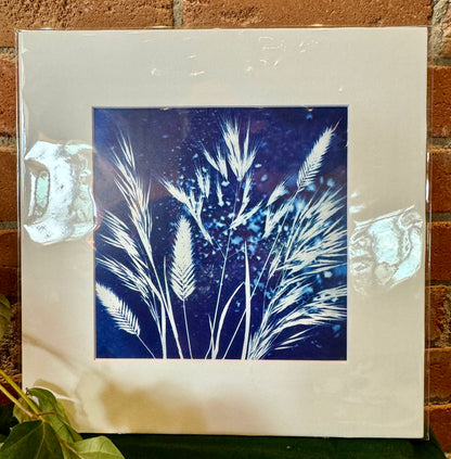 The Sun's Recipe- Matted 8x8 Art Prints