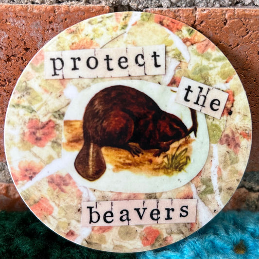 Christine Borst- Protect the Beavers Sticker