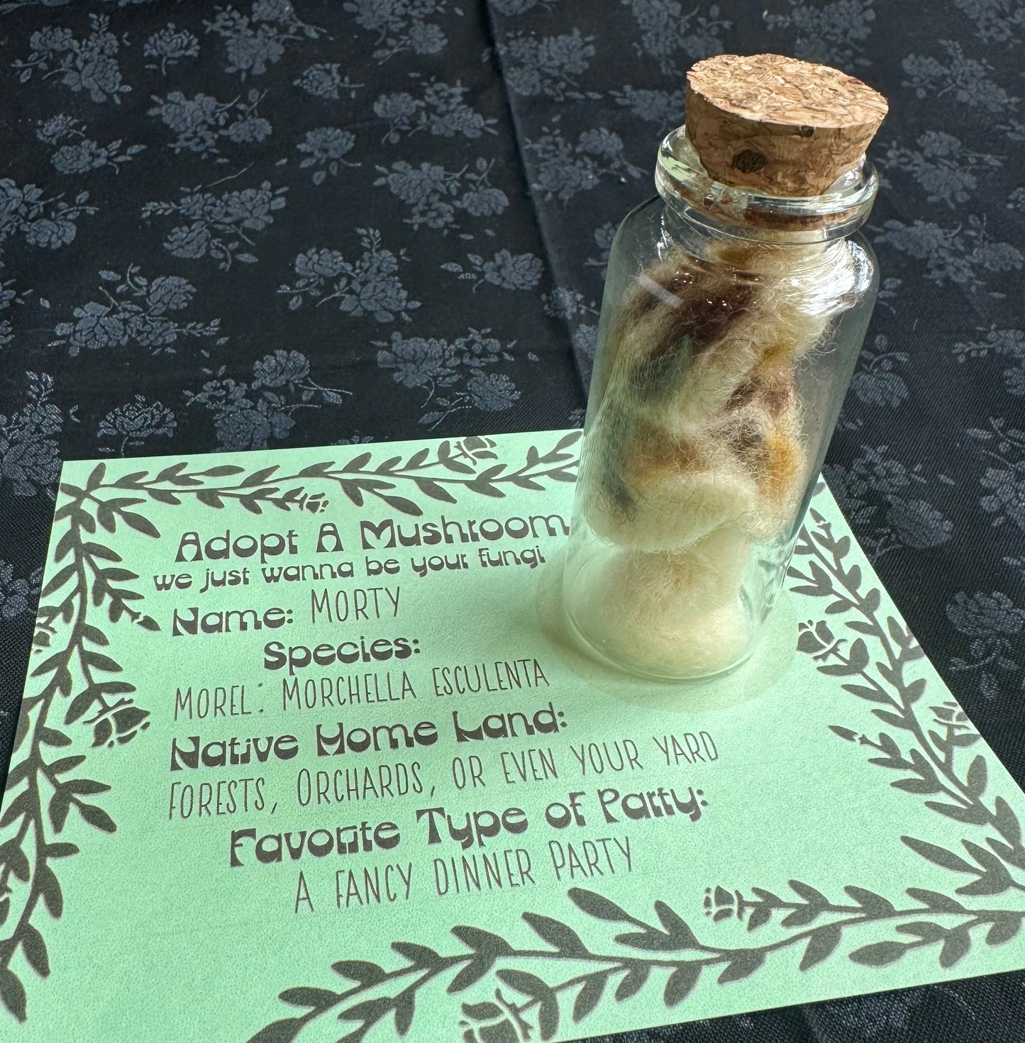 Keely Krueger- Adopt a Mushroom Specimen