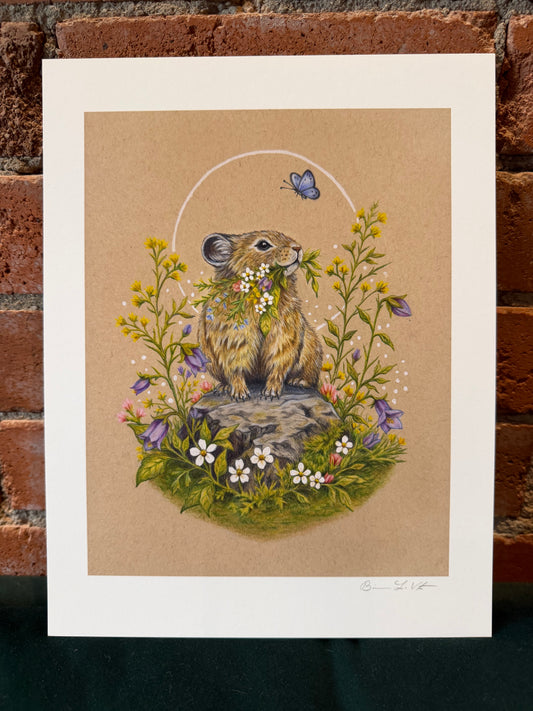 Native Fauna Art-  Pika + Flowers - Illustration Print 8.5x11"