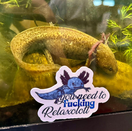 You Need To Fucking Relaxolotl Sticker