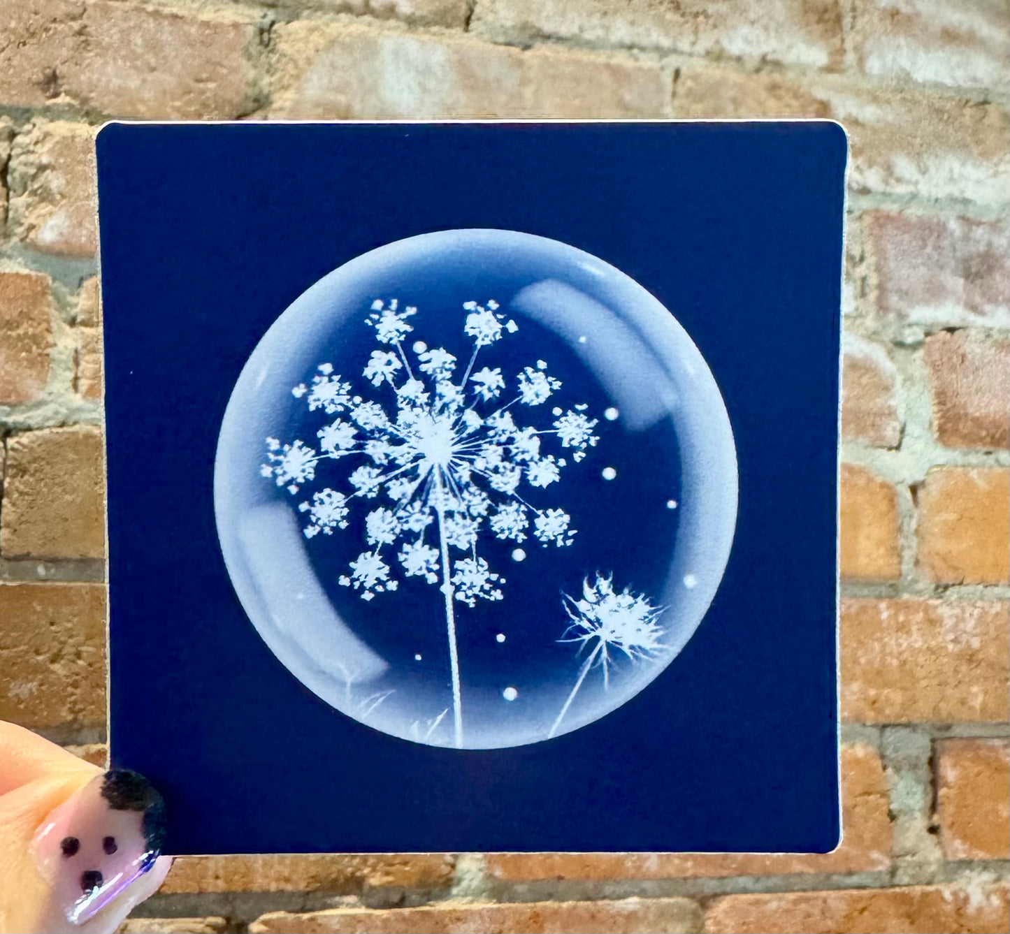 The Sun's Recipe- Cyanotype Sticker