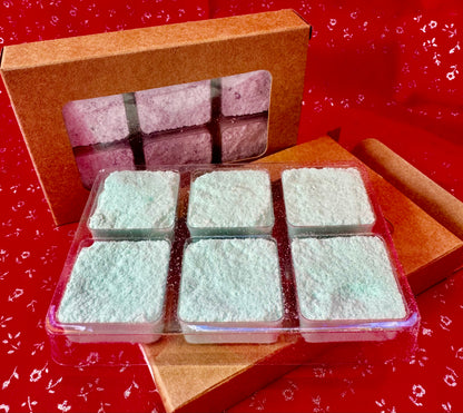 Pine & Paige Soap: Shower Steamers