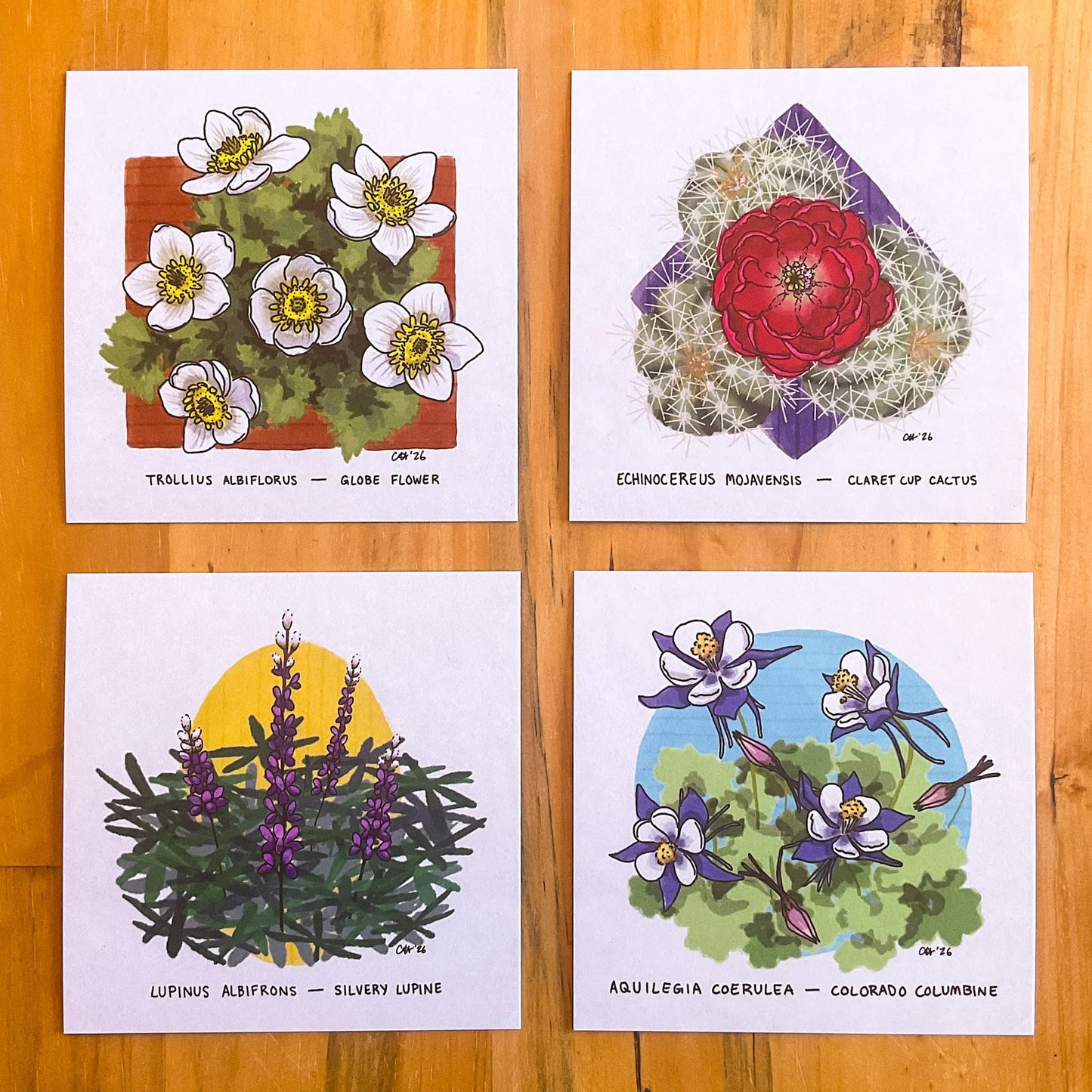 Doodled By Carrie- Doodlegrams- Colorado Flora Postcards