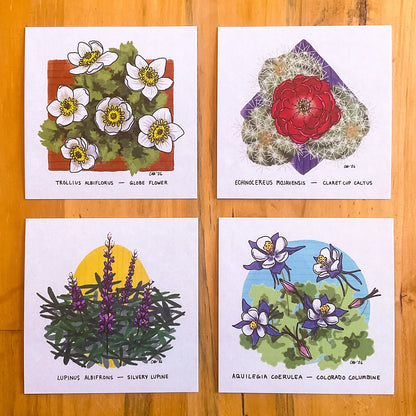 Doodled By Carrie- Doodlegrams- Colorado Flora Postcards