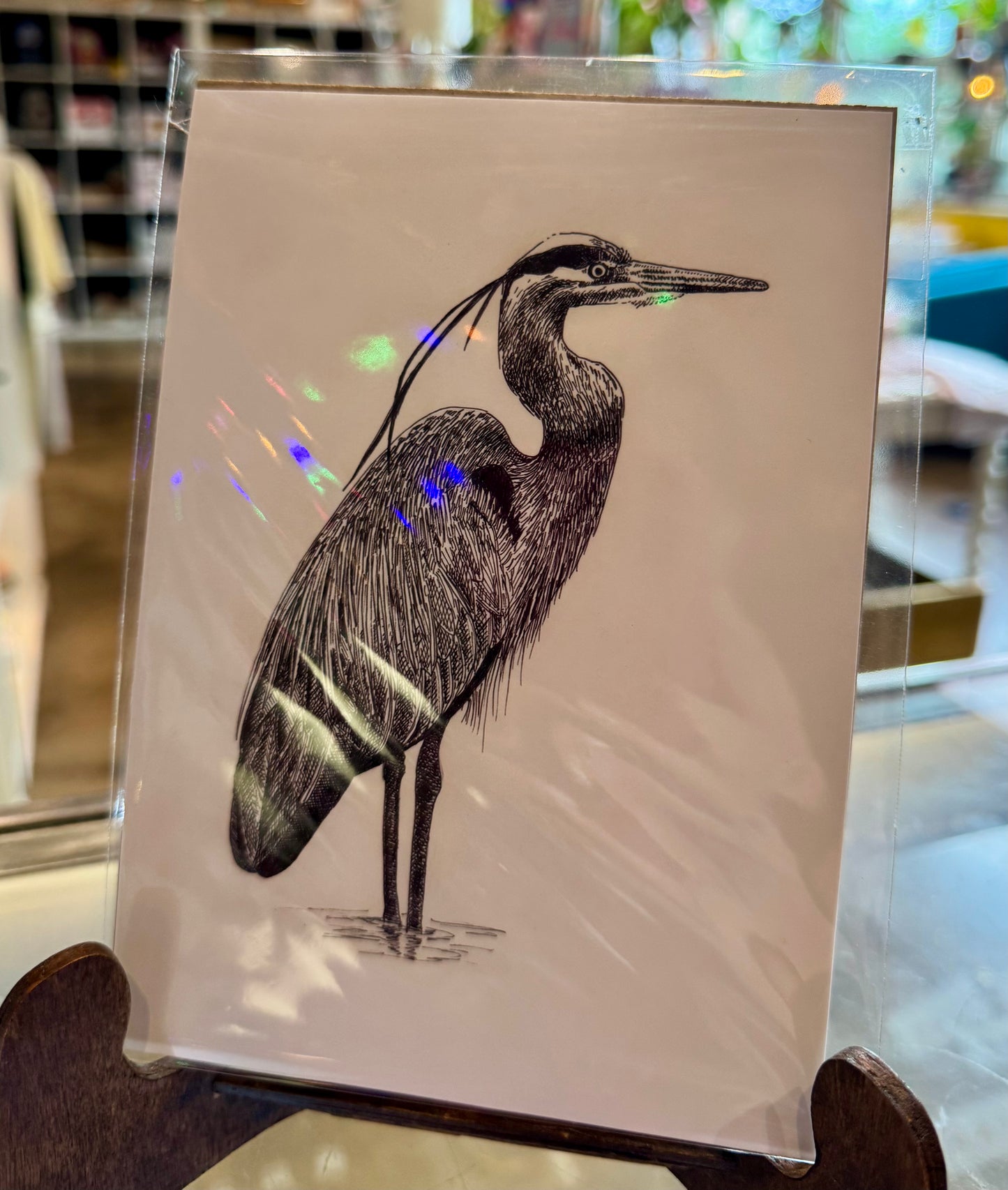 Rachael Taylor- 5x7 Art Print- Heron