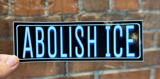 Scattered Mind Abolish Ice