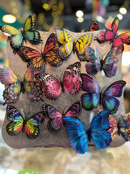 Flutter Gallery Butterfly Magnets