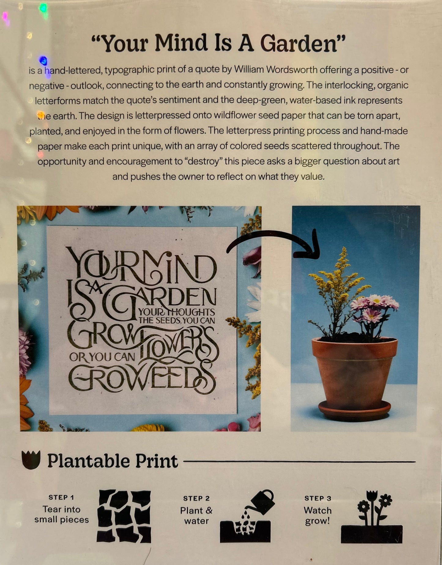 Jesse Taylor Creative- Plantable Print