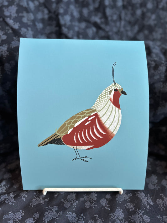Jesse Taylor Creative- Quail 8x10"