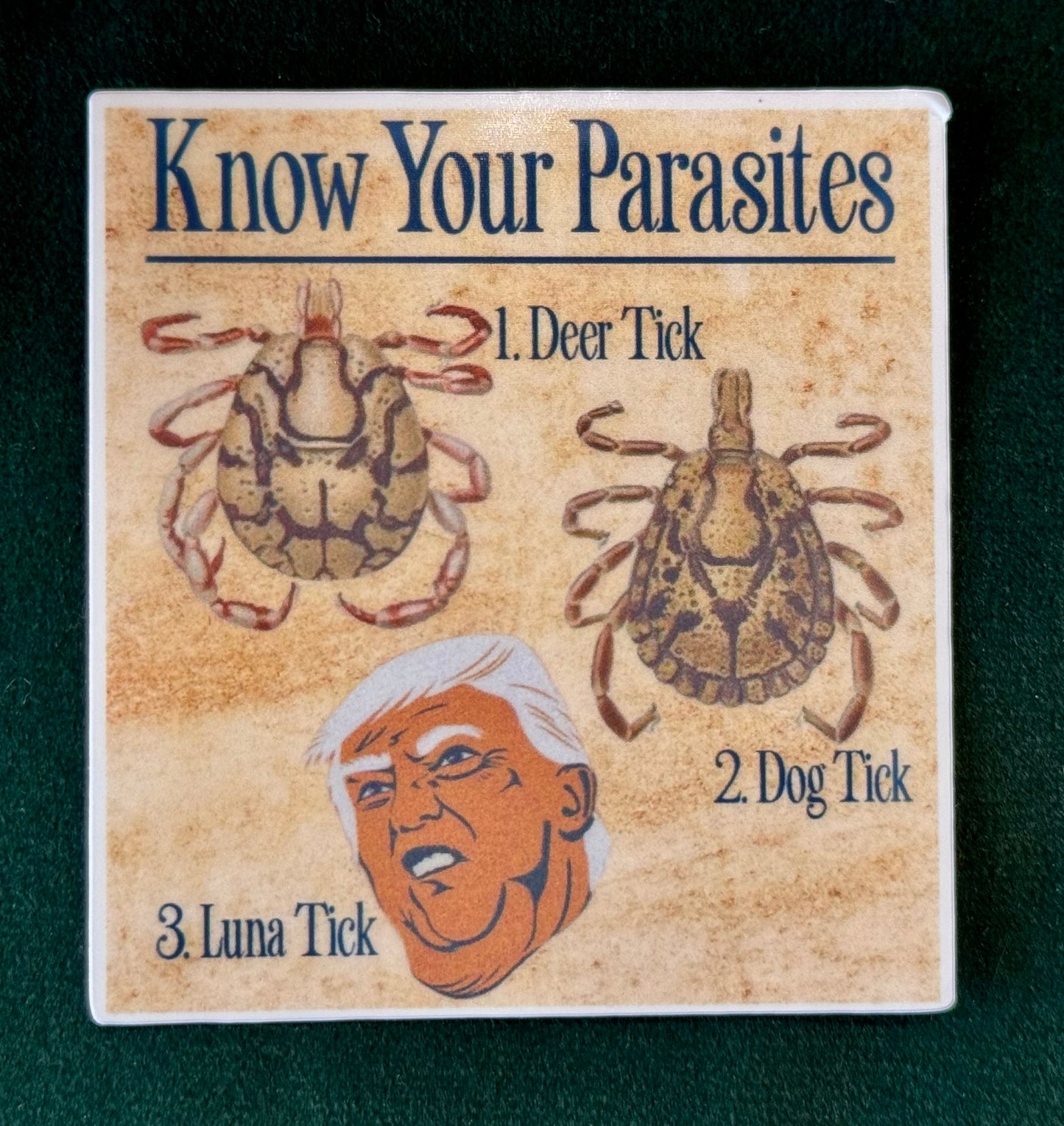 Know Your Parasite Sticker