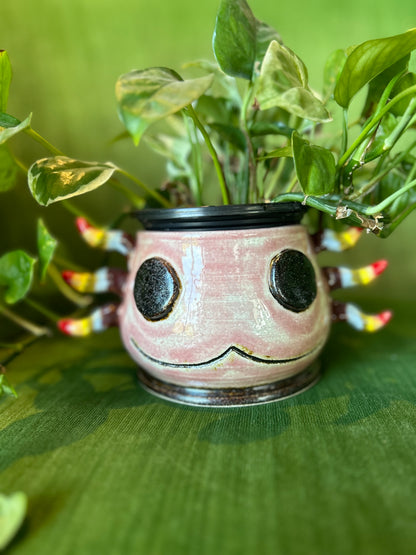 Spunky Sloth Ceramics- Axolotl Planter