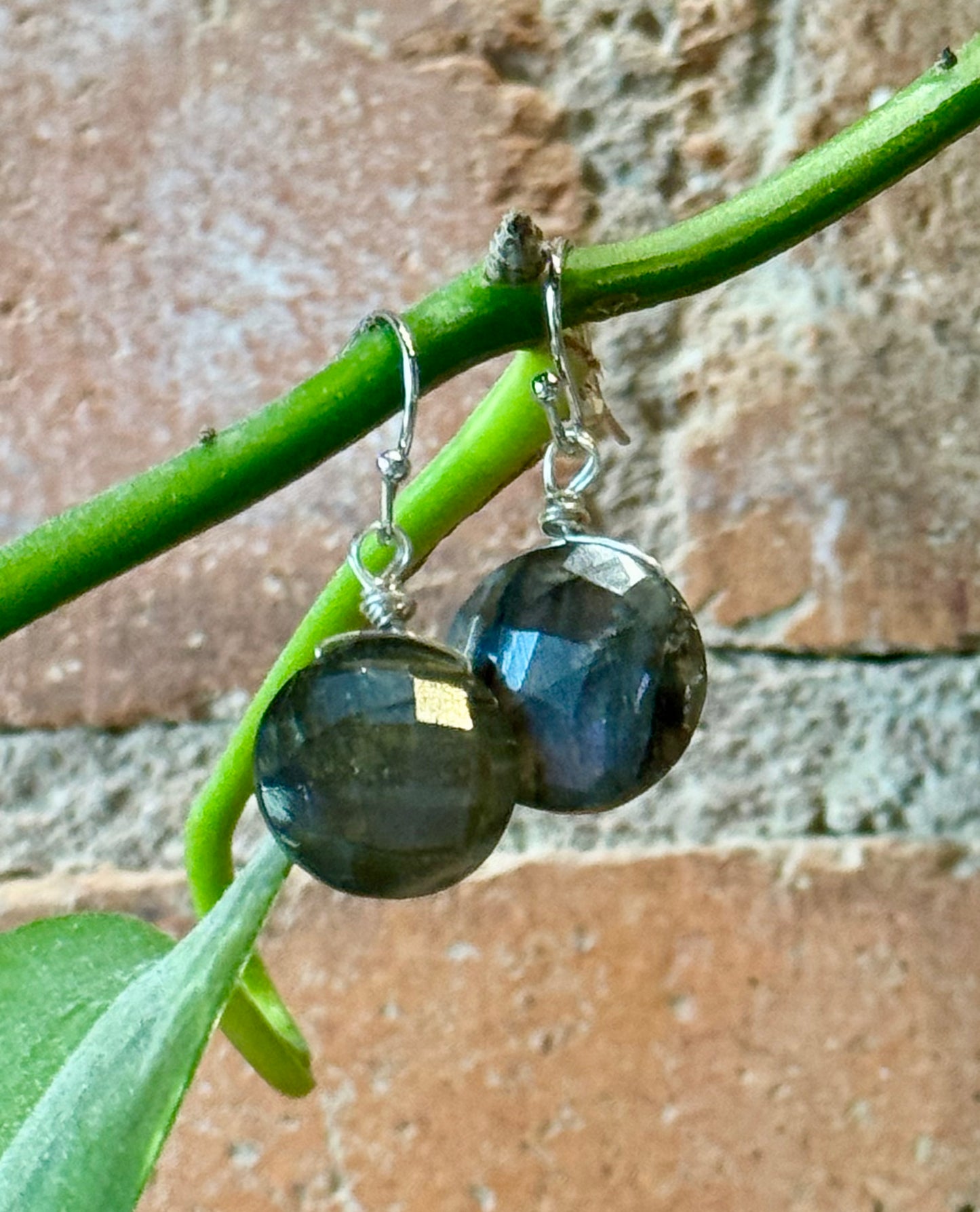 Blossom Designs Labradorite Earrings