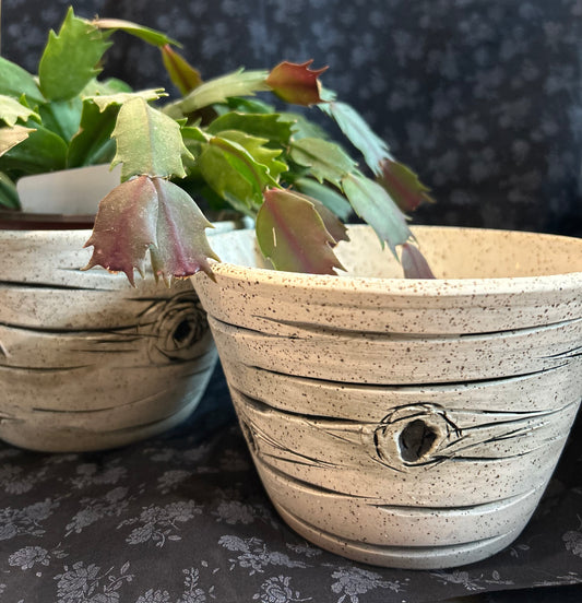 Nitra Olsen Ceramics-  Aspen Trunk Bowl/ Planter