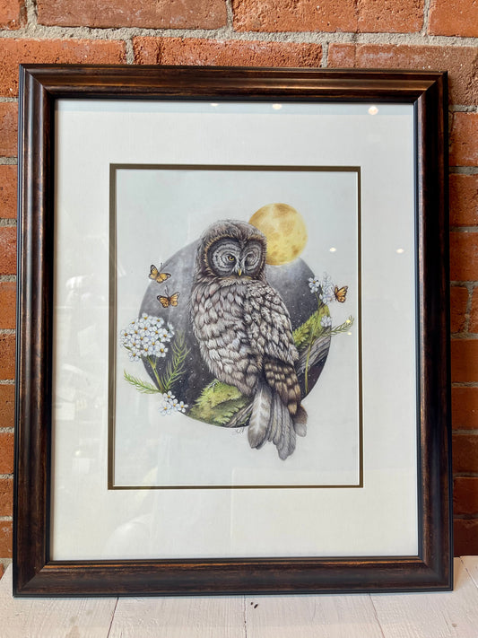 Native Fauna Art- 11"x14" Framed Barred Owl Print