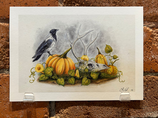 Native Fauna Art- 8"x6" A Visit to the Pumpkin Patch Print