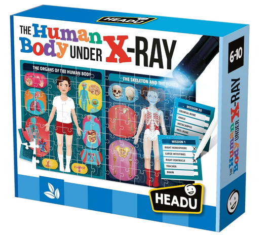 Headu- The Human Body Under X-Ray