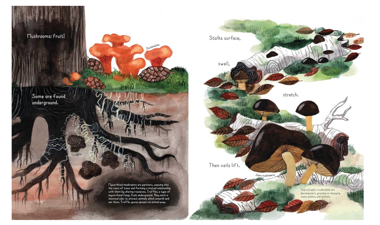 Oddly Enough Books- Fungi Grow by Maria Gianferrari