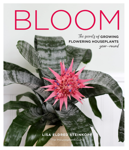 Oddly Enough Books- Bloom: The Secrets of Growing Flowering House Plants by Lisa Eldred Steinkopf