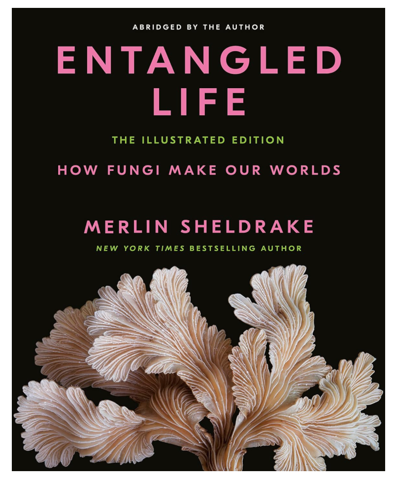 Oddly Enough Books- Entangled Life: How Fungi Make Our Worlds by Merlin Sheldrake
