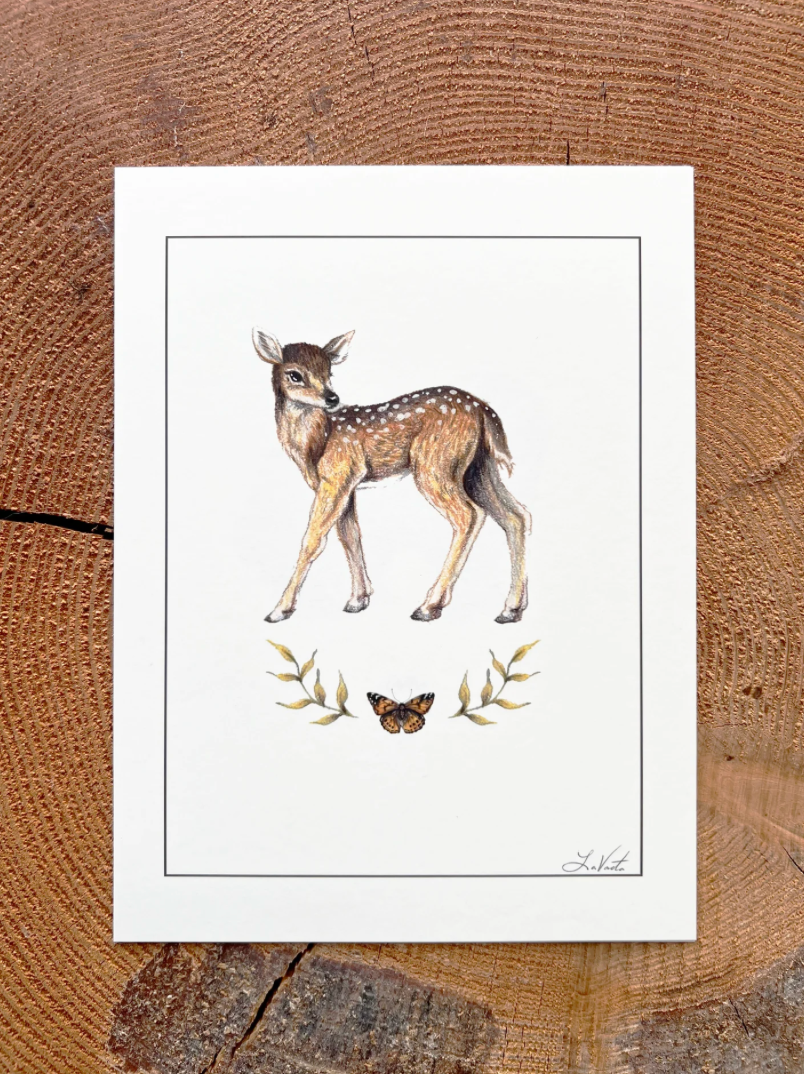 Native Fauna Art-  Fawn and Painted Lady Butterfly - Illustration Print
